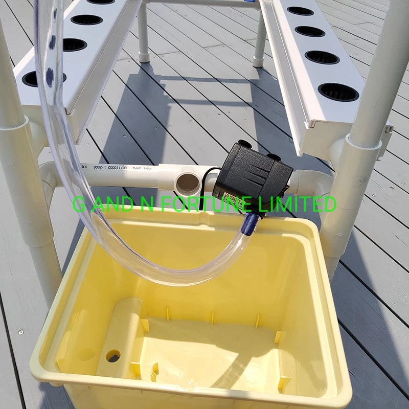 Indoor Vertical Hydroponic Nft Channel System for Leafy Vegetables