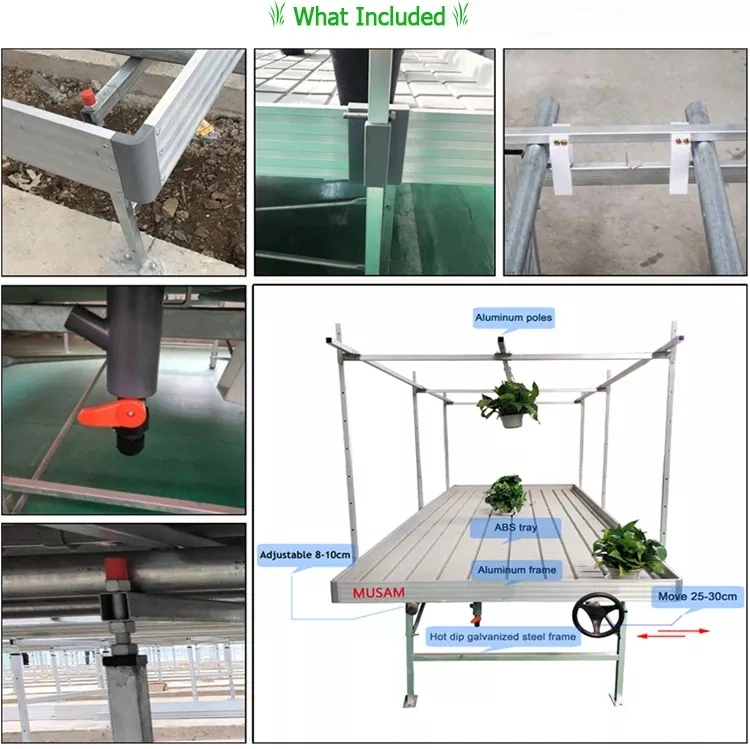 High-Quality Greenhouse Plant Nursery Equipment Movable Seedbed System