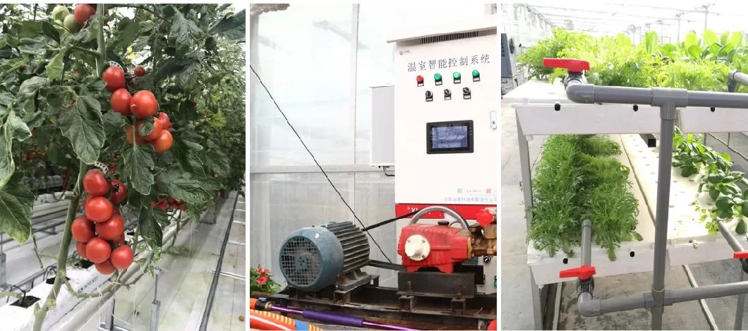 Fertigation Machine Hydroponics Agriculture Fertilizer Irrigation Integrated Equipment