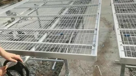 온실용 Dwc 관개 및 수경법 장비